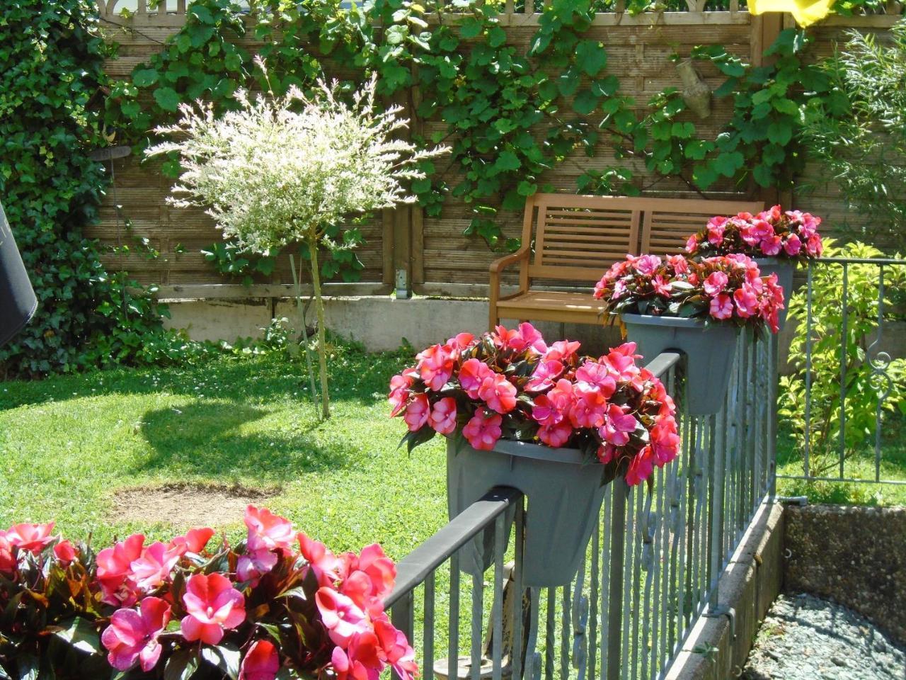 Haus Sonneneck Otel Medebach Dış mekan fotoğraf